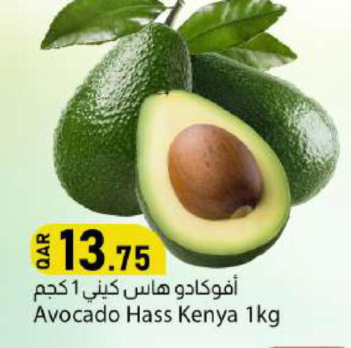 Avocado from Kenya available at Dana Market in Qatar - Doha