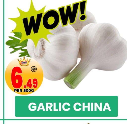 Garlic available at مركز الخصومات سنترو in الإمارات العربية المتحدة , الامارات - دبي