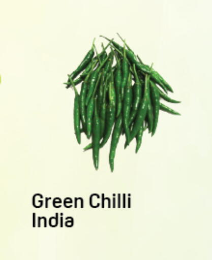 Green chilli from India available at دي تو دي in الإمارات العربية المتحدة , الامارات - دبي