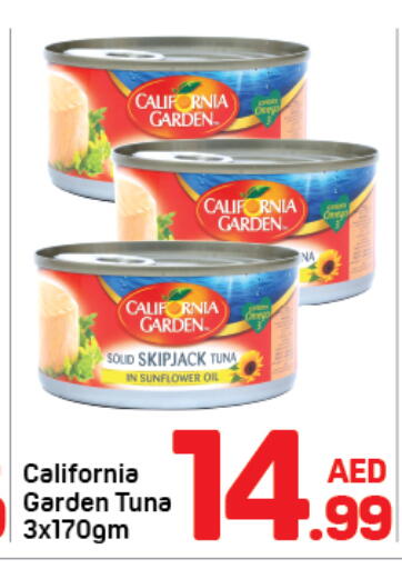 available at دي تو دي in الإمارات العربية المتحدة , الامارات - دبي