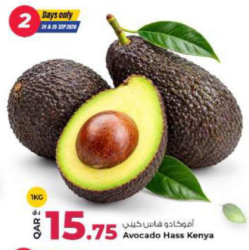 Avocado from Kenya available at Rawabi Hypermarket in Qatar - Al Khor