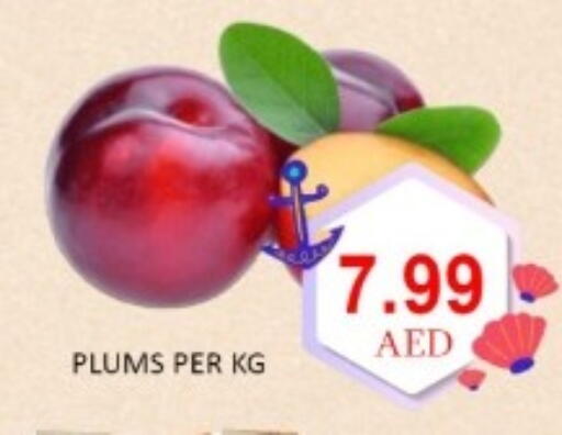Plums available at GREEN GIFT DEPARTMENT STORE in UAE - Abu Dhabi