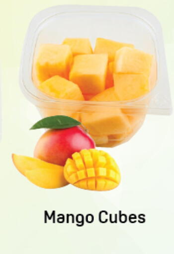 Mango available at دي تو دي in الإمارات العربية المتحدة , الامارات - دبي