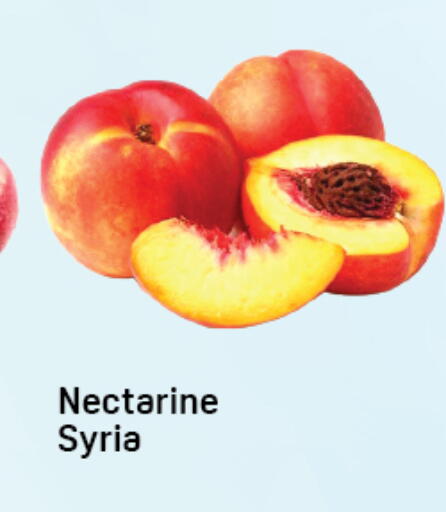 Nectarine from Syria available at دي تو دي in الإمارات العربية المتحدة , الامارات - دبي