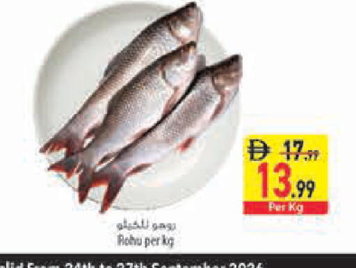 available at Safeer Market in UAE - Ras al Khaimah