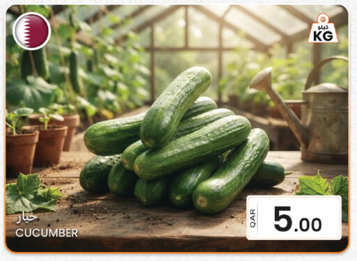 Cucumber available at Al Baladi Al Yawm in Qatar - Doha