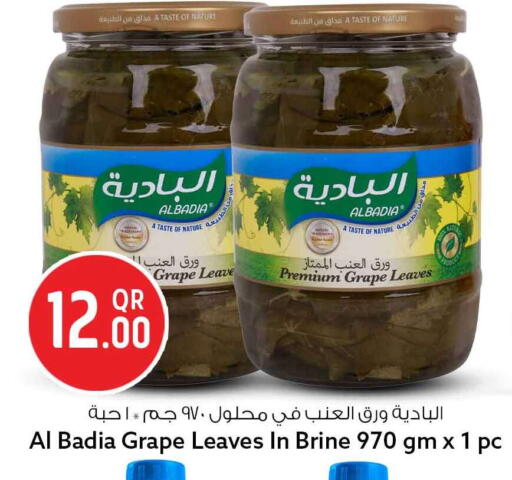 available at Safari Hypermarket in Qatar - Al Shamal