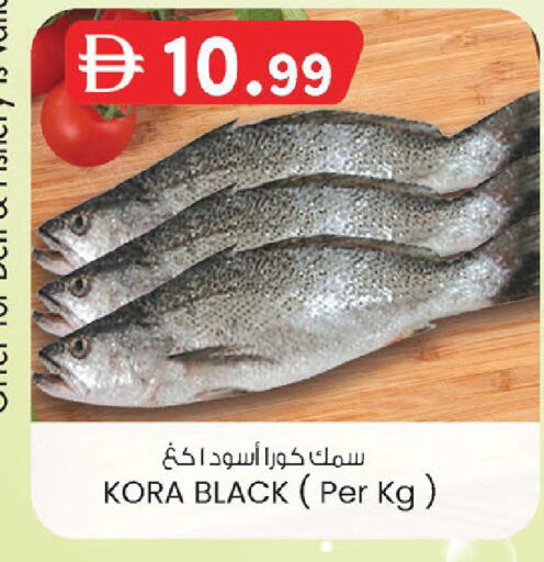 available at K M Trading  in UAE - Abu Dhabi