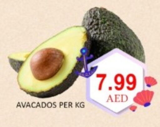 available at GREEN GIFT DEPARTMENT STORE in UAE - Abu Dhabi