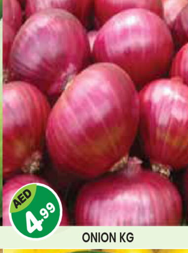 Onion available at Baniyas Spike  in UAE - Abu Dhabi
