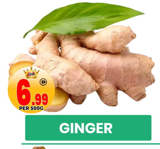 Ginger available at مركز الخصومات سنترو in الإمارات العربية المتحدة , الامارات - دبي