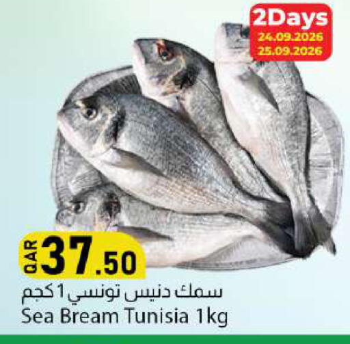 available at دانا ماركت in قطر - الدوحة