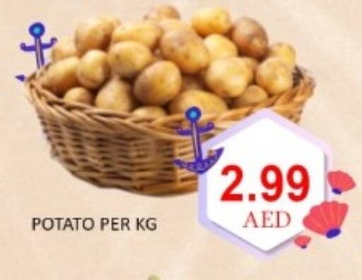 Potato available at GREEN GIFT DEPARTMENT STORE in UAE - Abu Dhabi