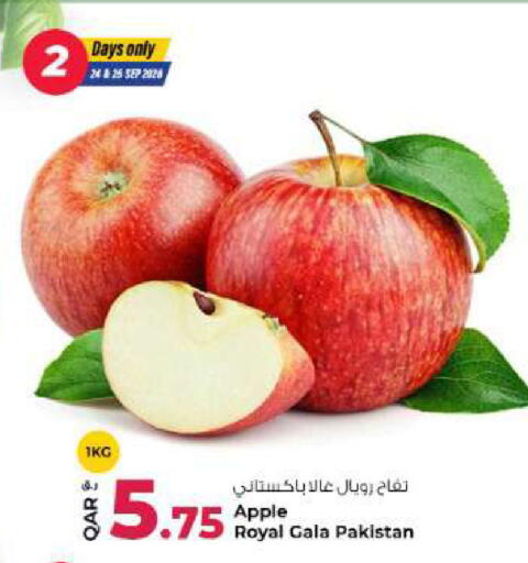 Apple from Pakistan available at روابي هايبرماركت in قطر - الشمال