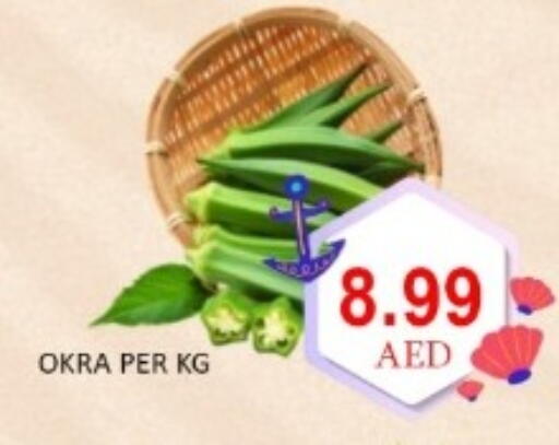Okra available at GREEN GIFT DEPARTMENT STORE in UAE - Abu Dhabi