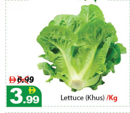 Lettuce available at DESERT FRESH MARKET  in UAE - Abu Dhabi