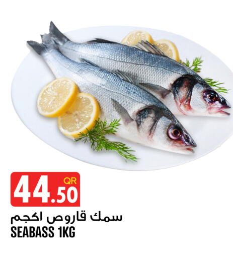 available at قصر الأغذية هايبرماركت in قطر - أم صلال