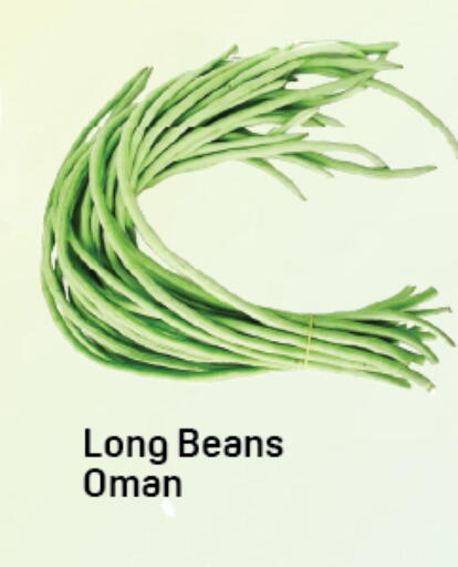 from Oman available at دي تو دي in الإمارات العربية المتحدة , الامارات - دبي