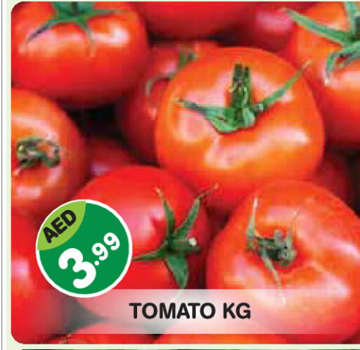 Tomato available at Baniyas Spike  in UAE - Abu Dhabi