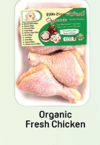 available at دي تو دي in الإمارات العربية المتحدة , الامارات - دبي