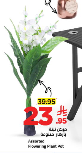 available at Wahj Mart in KSA, Saudi Arabia, Saudi - Jeddah