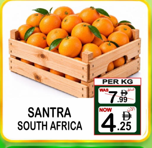 from South Africa available at مركز الجمعة in الإمارات العربية المتحدة , الامارات - دبي