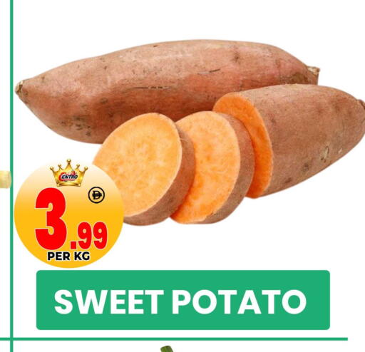 Sweet Potato available at Centro Discount Center in UAE - Sharjah / Ajman