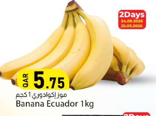 Banana from Ecuador available at دانا ماركت in قطر - الخور