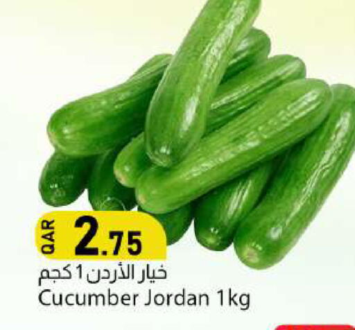 Cucumber from Jordan available at دانا ماركت in قطر - الدوحة