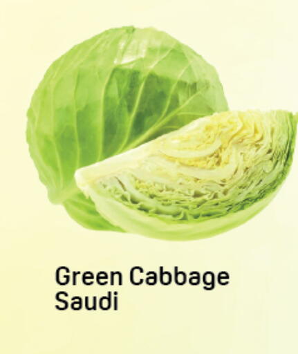 Cabbage from Saudi Arabia available at دي تو دي in الإمارات العربية المتحدة , الامارات - دبي