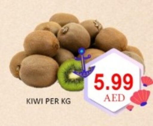 Kiwi available at GREEN GIFT DEPARTMENT STORE in UAE - Abu Dhabi