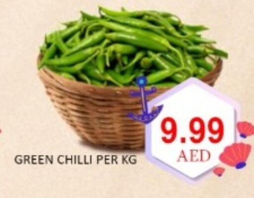 Green chilli available at GREEN GIFT DEPARTMENT STORE in UAE - Abu Dhabi