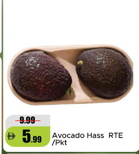Avocado available at Al Aswaq Hypermarket in UAE - Ras al Khaimah
