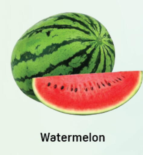 Watermelon available at دي تو دي in الإمارات العربية المتحدة , الامارات - دبي