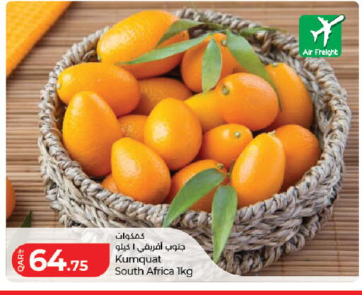 Kumquat from South Africa available at LuLu Hypermarket in Qatar - Al Rayyan
