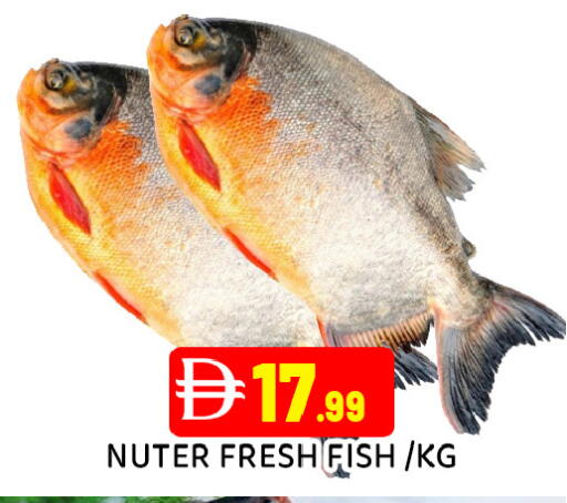 available at Ain Al Madina Hypermarket in UAE - Sharjah / Ajman