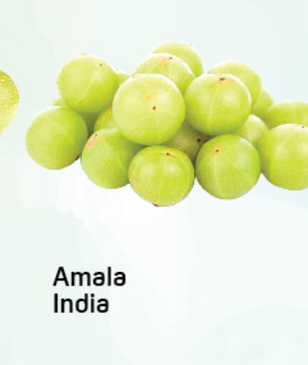 from India available at دي تو دي in الإمارات العربية المتحدة , الامارات - دبي
