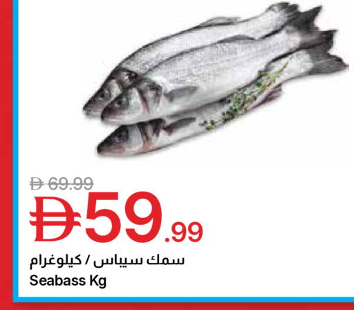 available at جمعية الامارات التعاونية in الإمارات العربية المتحدة , الامارات - دبي