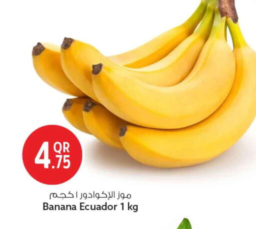 Banana from Ecuador available at سفاري هايبر ماركت in قطر - الوكرة