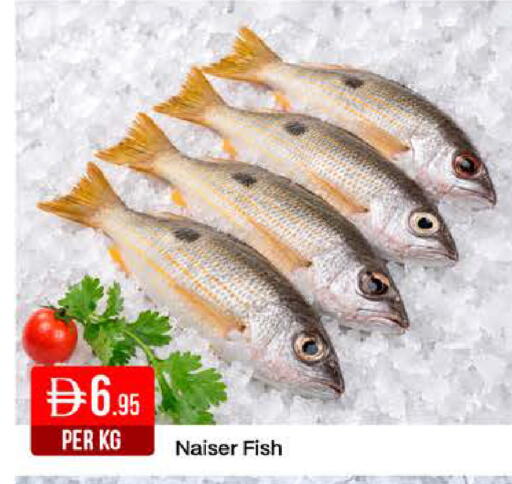 available at West Zone Supermarket in UAE - Dubai