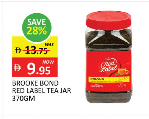 available at المدينة in الإمارات العربية المتحدة , الامارات - رَأْس ٱلْخَيْمَة