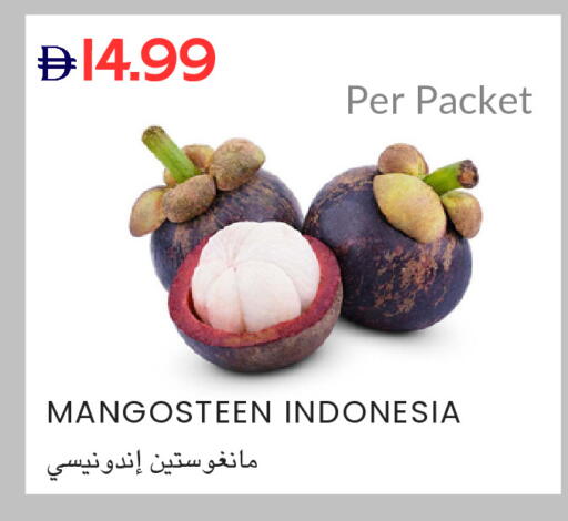Mangosteen from Indonesia available at Select Market in UAE - Abu Dhabi