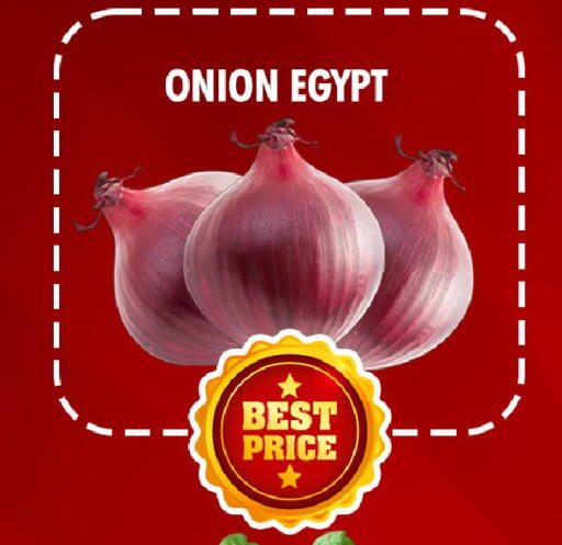 Onion from Egypt available at NIGHT TO NIGHT DEPARTMENT STORE in UAE - Dubai