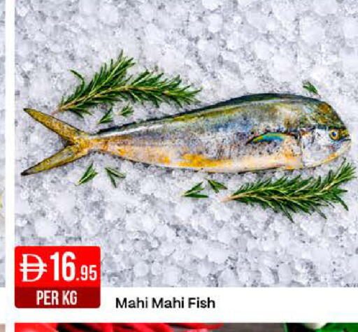 available at West Zone Supermarket in UAE - Dubai