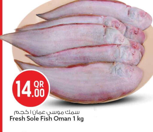 available at سفاري هايبر ماركت in قطر - أم صلال