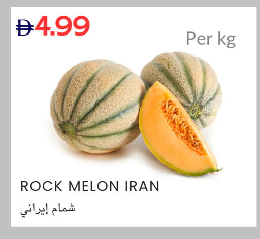 Melon from Iran available at Select Market in UAE - Abu Dhabi
