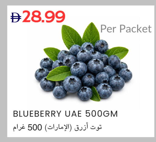 Blueberry BlueBerry available at Select Market in UAE - Abu Dhabi