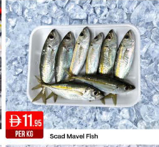 available at West Zone Supermarket in UAE - Dubai