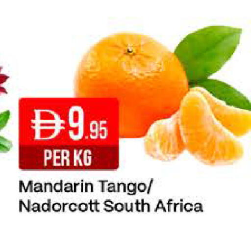 Mandarin from South Africa available at West Zone Supermarket in UAE - Dubai