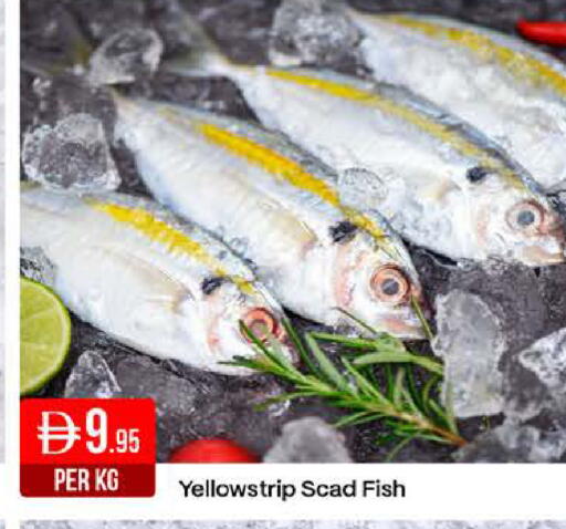 available at West Zone Supermarket in UAE - Dubai